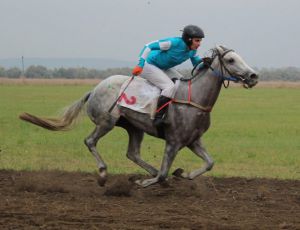 У Біловодській ОТГ відбувся фестиваль «Золота підкова»